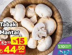 TABAK MANTAR TABAK MANTAR
